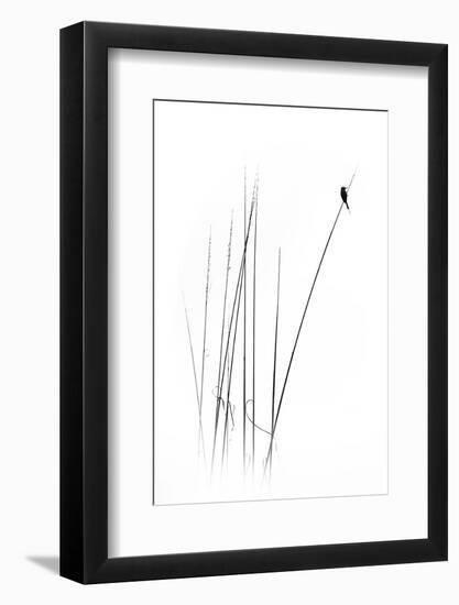 A Sabbatical-null-Framed Photographic Print