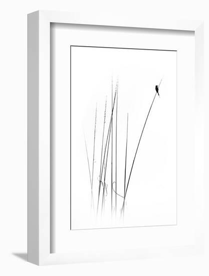 A Sabbatical-null-Framed Photographic Print