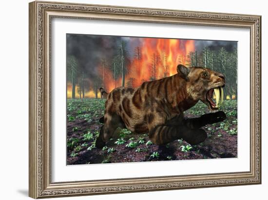 A Saber-Toothed Tiger Running Away from a Forest Fire-null-Framed Art Print