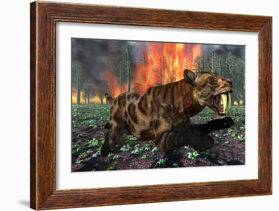 A Saber-Toothed Tiger Running Away from a Forest Fire-null-Framed Art Print