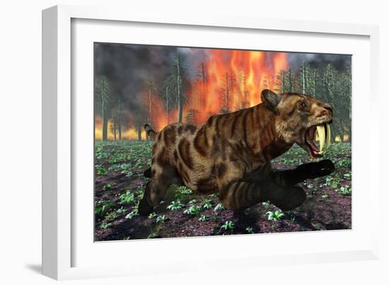 A Saber-Toothed Tiger Running Away from a Forest Fire-null-Framed Art Print