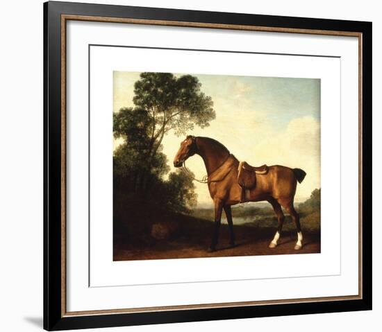 A Saddled Bay Hunter-George Stubbs-Framed Premium Giclee Print