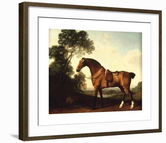 A Saddled Bay Hunter-George Stubbs-Framed Premium Giclee Print