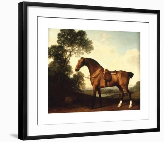 A Saddled Bay Hunter-George Stubbs-Framed Premium Giclee Print