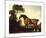 A Saddled Bay Hunter-George Stubbs-Mounted Premium Giclee Print