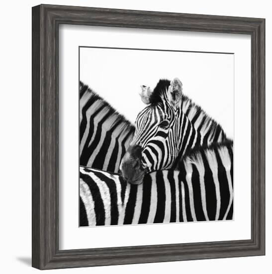 A Safe Place-Nina Papiorek-Framed Giclee Print