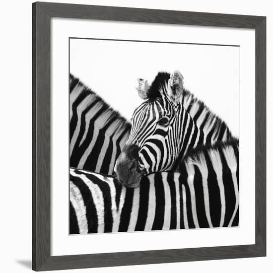 A Safe Place-Nina Papiorek-Framed Giclee Print