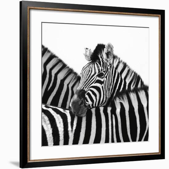 A Safe Place-Nina Papiorek-Framed Giclee Print