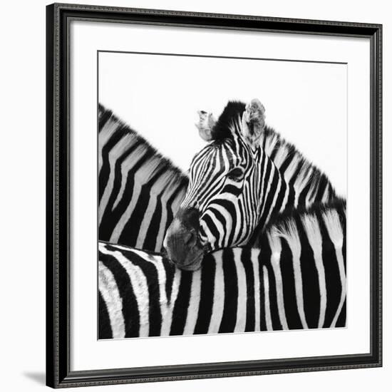 A Safe Place-Nina Papiorek-Framed Giclee Print