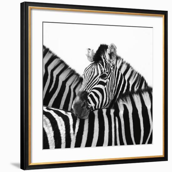 A Safe Place-Nina Papiorek-Framed Giclee Print