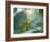 A Saffron Finch, Sicalis Flaveola, Resting in a Tropical Scene in the Atlantic Rainforest-Alex Saberi-Framed Photographic Print