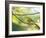 A Saffron Finch, Sicalis Flaveola, Resting in a Tropical Scene in the Atlantic Rainforest-Alex Saberi-Framed Photographic Print