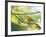 A Saffron Finch, Sicalis Flaveola, Resting in a Tropical Scene in the Atlantic Rainforest-Alex Saberi-Framed Photographic Print