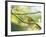 A Saffron Finch, Sicalis Flaveola, Resting in a Tropical Scene in the Atlantic Rainforest-Alex Saberi-Framed Photographic Print