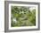 A Saffron Finch, Sicalis Flaveola, Sits on a Branch in Ubatuba, Brazil-Alex Saberi-Framed Photographic Print