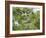 A Saffron Finch, Sicalis Flaveola, Sits on a Branch in Ubatuba, Brazil-Alex Saberi-Framed Photographic Print