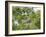 A Saffron Finch, Sicalis Flaveola, Sits on a Branch in Ubatuba, Brazil-Alex Saberi-Framed Photographic Print