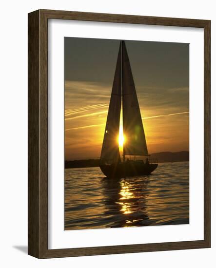 A Sailboat Heads Back to its Mooring-null-Framed Photographic Print