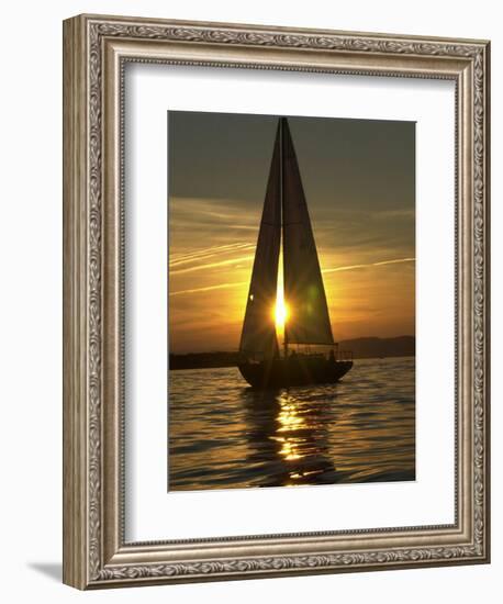 A Sailboat Heads Back to its Mooring-null-Framed Photographic Print