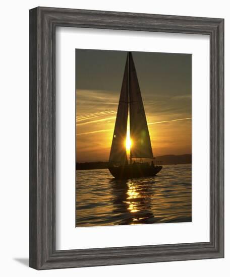 A Sailboat Heads Back to its Mooring-null-Framed Photographic Print