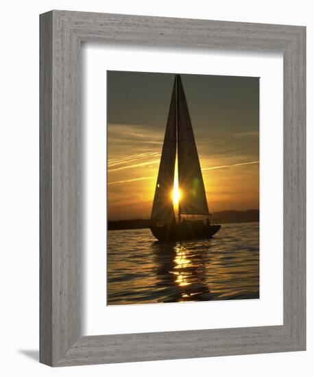 A Sailboat Heads Back to its Mooring-null-Framed Photographic Print