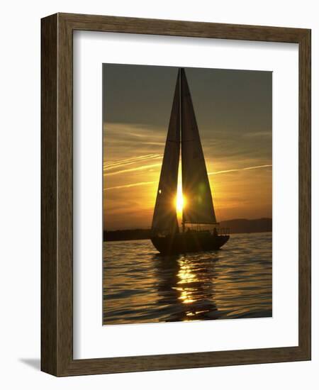 A Sailboat Heads Back to its Mooring-null-Framed Photographic Print