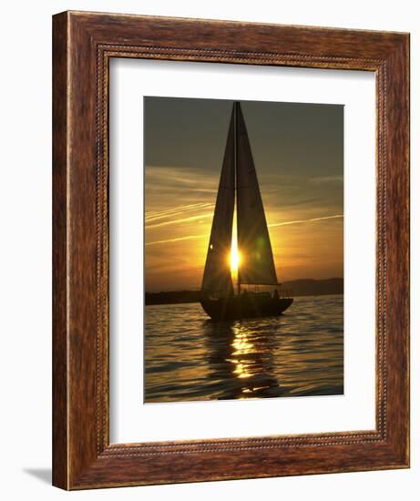 A Sailboat Heads Back to its Mooring--Framed Photographic Print