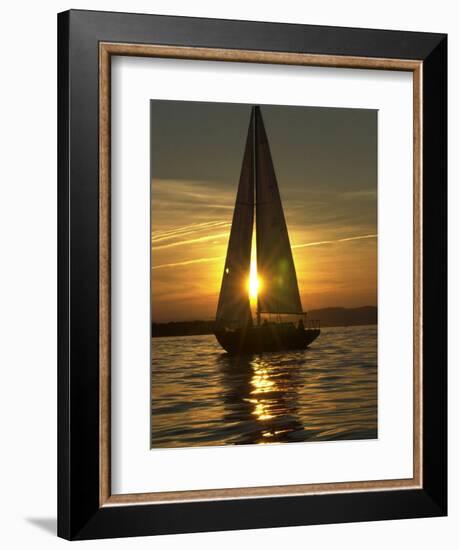 A Sailboat Heads Back to its Mooring-null-Framed Photographic Print