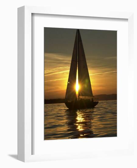 A Sailboat Heads Back to its Mooring-null-Framed Photographic Print