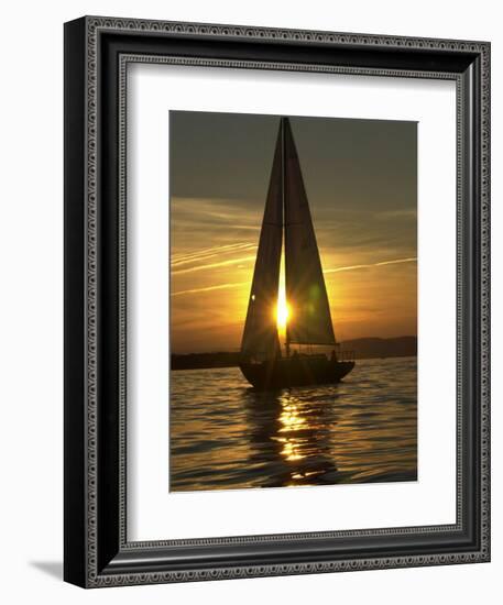 A Sailboat Heads Back to its Mooring-null-Framed Photographic Print