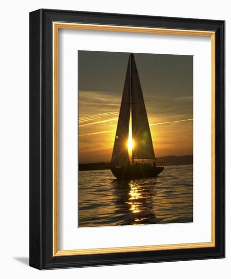 A Sailboat Heads Back to its Mooring-null-Framed Photographic Print