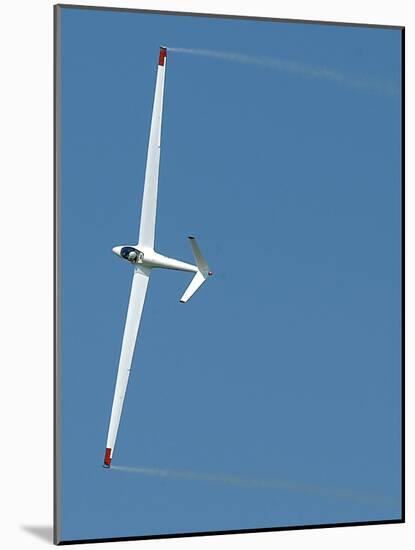 A Sailplane Glider During the 2007 Naval Air Station Oceana Air Show-Stocktrek Images-Mounted Photographic Print