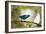 A Saira Bird Perches on a Tree in Ubatuba, Brazil-Alex Saberi-Framed Photographic Print