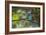 A Saira Bird Perches on a Tree in Ubatuba-Alex Saberi-Framed Photographic Print