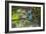 A Saira Bird Perches on a Tree in Ubatuba-Alex Saberi-Framed Photographic Print