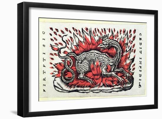 A Salamander, 1st Half 16th Century-French School-Framed Giclee Print