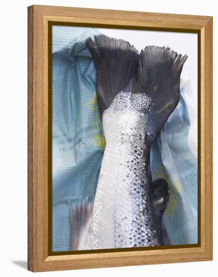 A Salmon Tail-Marc O^ Finley-Framed Premier Image Canvas