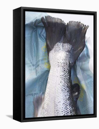 A Salmon Tail-Marc O^ Finley-Framed Premier Image Canvas