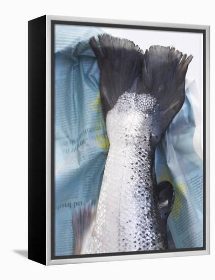 A Salmon Tail-Marc O^ Finley-Framed Premier Image Canvas