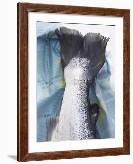 A Salmon Tail-Marc O^ Finley-Framed Photographic Print