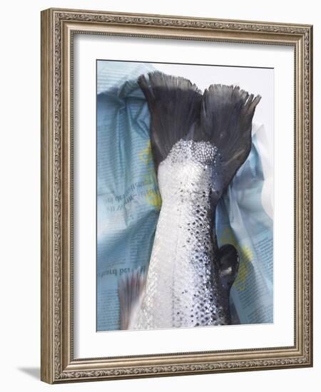 A Salmon Tail-Marc O^ Finley-Framed Photographic Print