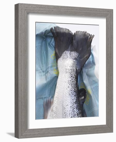 A Salmon Tail-Marc O^ Finley-Framed Photographic Print