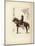 A Samurai Soldier Sitting on His Horse-null-Mounted Giclee Print