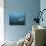 A Sand Tiger Shark Above a School of Cigar Minnows Off the Coast of North Carolina-Stocktrek Images-Photographic Print displayed on a wall