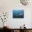 A Sand Tiger Shark Above a School of Cigar Minnows Off the Coast of North Carolina-Stocktrek Images-Photographic Print displayed on a wall