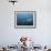 A Sand Tiger Shark Above a School of Cigar Minnows Off the Coast of North Carolina-Stocktrek Images-Framed Photographic Print displayed on a wall