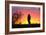 A Savanna Hawk, Buteogallus Meridionalis, Perching on a Fence Post-Alex Saberi-Framed Photographic Print