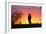 A Savanna Hawk, Buteogallus Meridionalis, Perching on a Fence Post-Alex Saberi-Framed Photographic Print