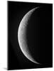 A Saxing Crescent Moon in High Resolution-Stocktrek Images-Mounted Photographic Print