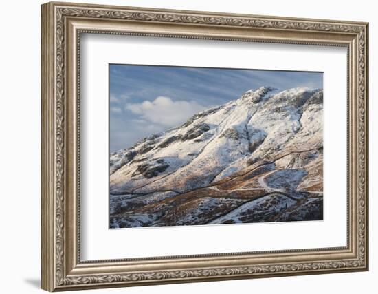 A scene from Borrowdale, Lake District National Park, Cumbria, England, United Kingdom, Europe-Jon Gibbs-Framed Photographic Print